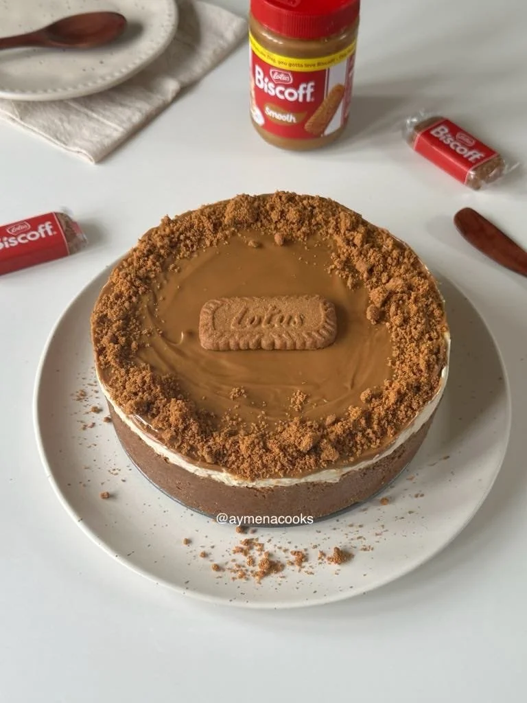 no bake biscoff cheesecake