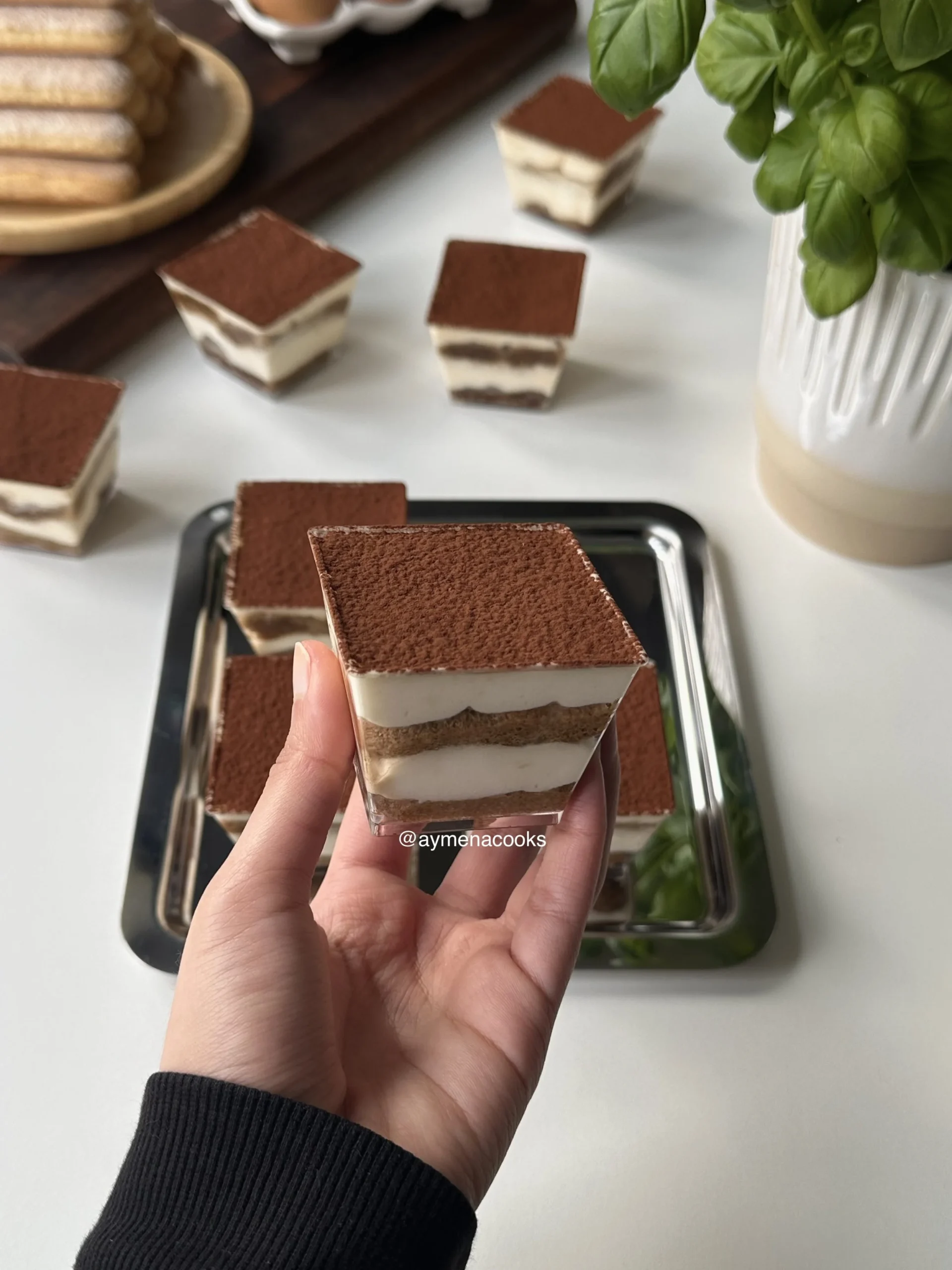 tiramisu cups