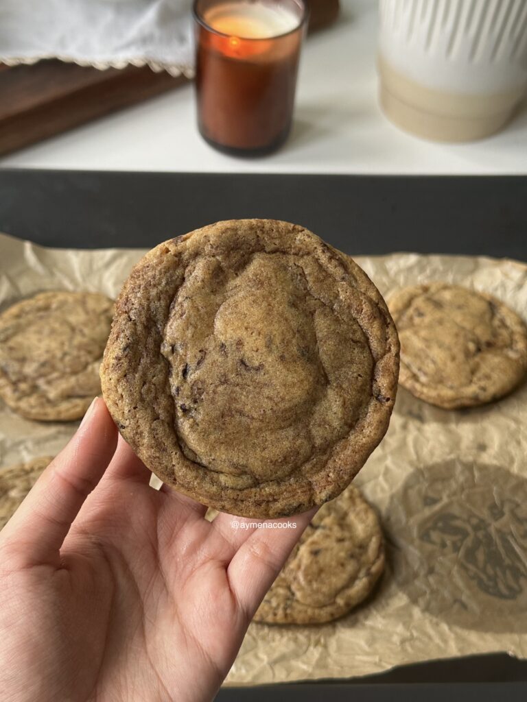 A hand holding a chewy cooled plain espresso cookie.